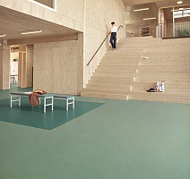 Forbo Marmoleum Solid Concrete 3750 pine forest фото 2 | FLOORDEALER